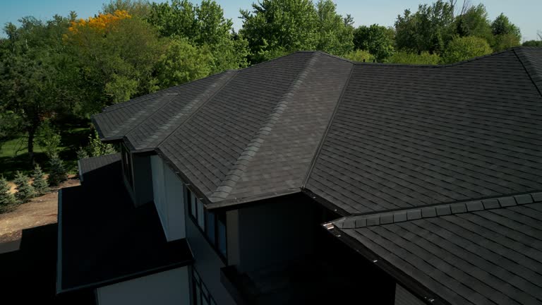 Best Roof Insulation Installation  in Warren, IL